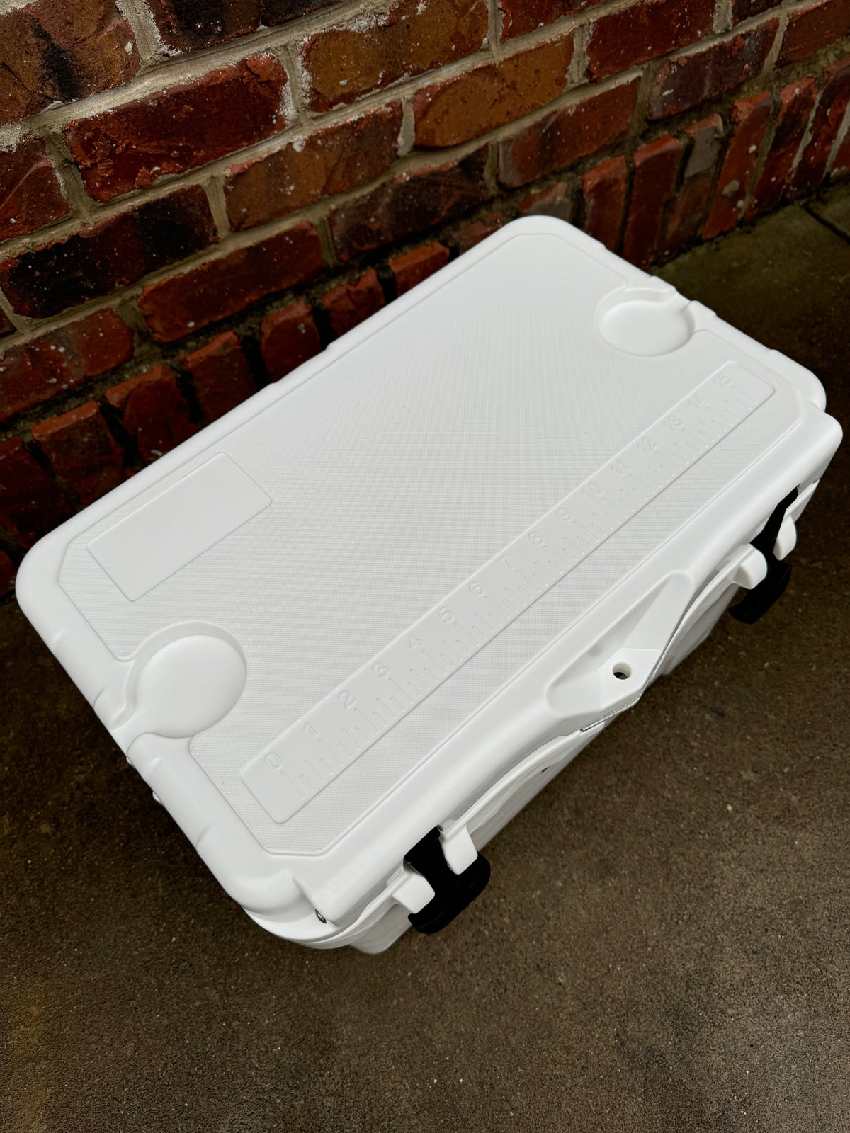 Polar Bear 20 Hard Cooler Polar Bear Coolers